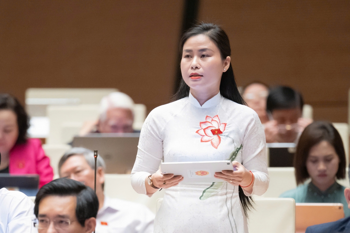 Đại biểu Đặng Thị Bảo Trinh, Đoàn ĐBQH TP Đà Nẵng.