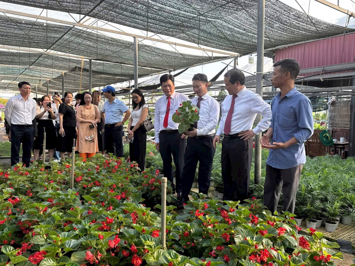 Đoàn khảo sát sản phẩm tại Làng nghề hoa, cây cảnh Tích Giang, xã Phúc Thọ. Ảnh: Hồng Hạnh