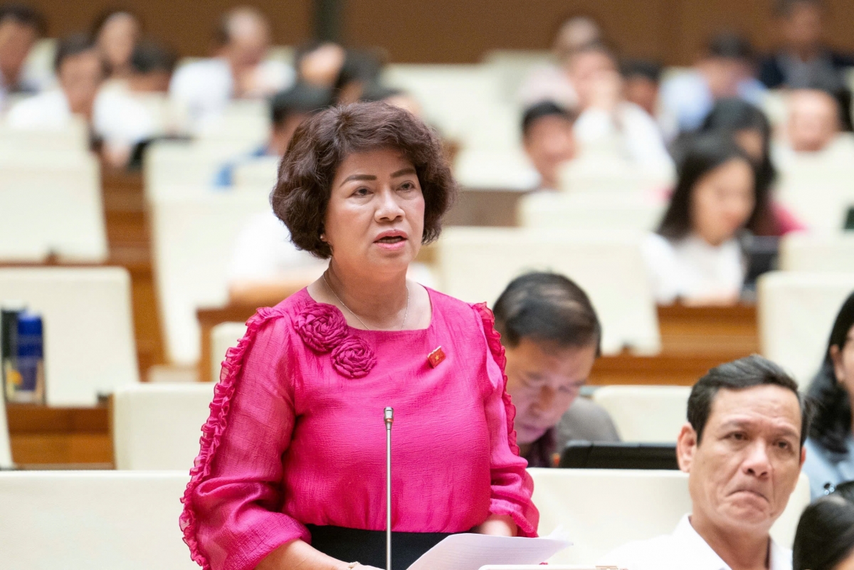 Đại biểu Nguyễn Thị Lệ Thủy (Đoàn ĐBQH tỉnh Vĩnh Long) (Ảnh: Quốc hội)