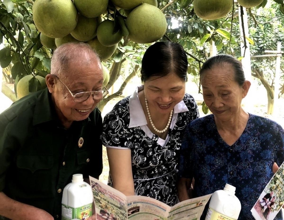 Bà Phạm Thị Lý - Giám đốc Liên hiệp HTX Nông nghiệp Hữu cơ và Dược liệu Việt Nam (đứng giữa) (Ảnh: NVCC)