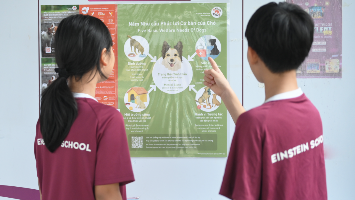 Học sinh được giáo dục cách chăm sóc thú cưng khoa học và nhân văn (Ảnh: FOUR PAWS)