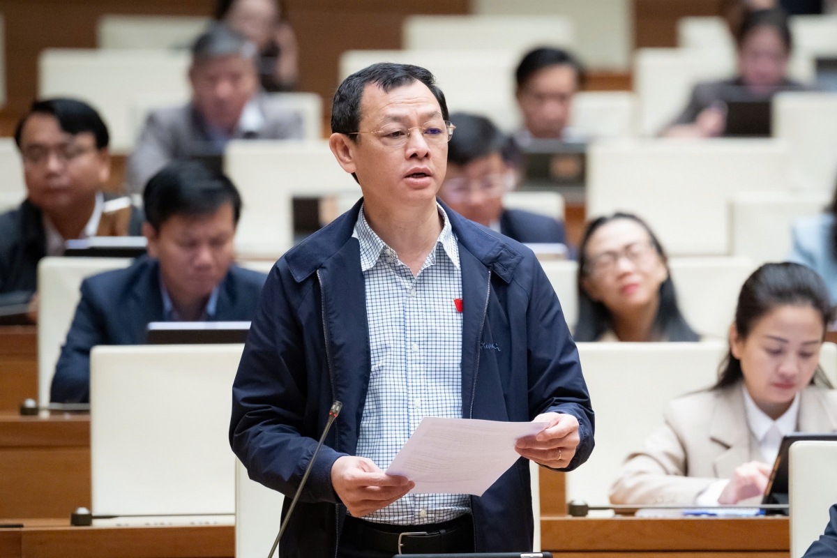 Đại biểu Nguyễn Tri Thức - Đoàn ĐBQH Thành phố Hồ Chí Minh.