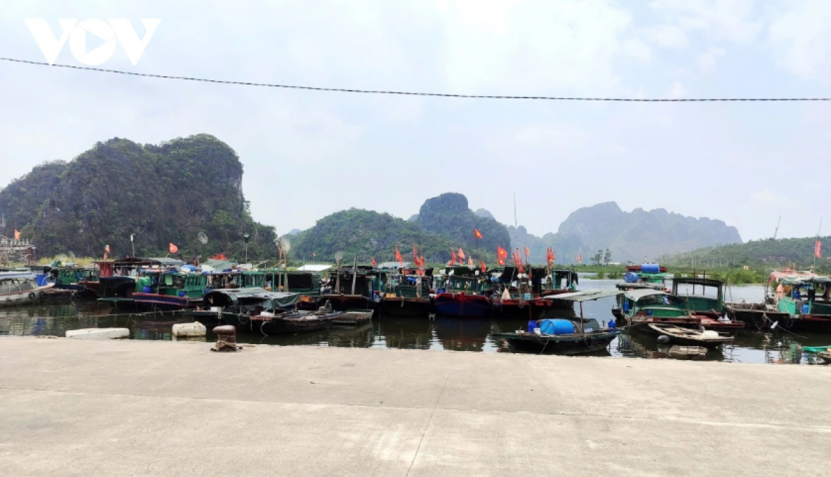 Tỉnh Quảng Ninh hiện có khoảng 4.100 tàu cá với 275 tàu hoạt động vùng khơi đều đã được đăng ký, cập nhật dữ liệu lên hệ thống Vnfishbase (Ảnh: VOV.VN)