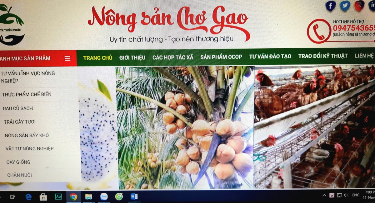 Mở rộng thị trường nội địa tạo cơ hội cho phát triển thương mại điện tử. (Gian hàng trên sàn thương mại điện tử của Hợp tác xã Thiên Phúc, xã Mỹ Tịnh An, Đồng Tháp. Ảnh chụp từ màn hình)