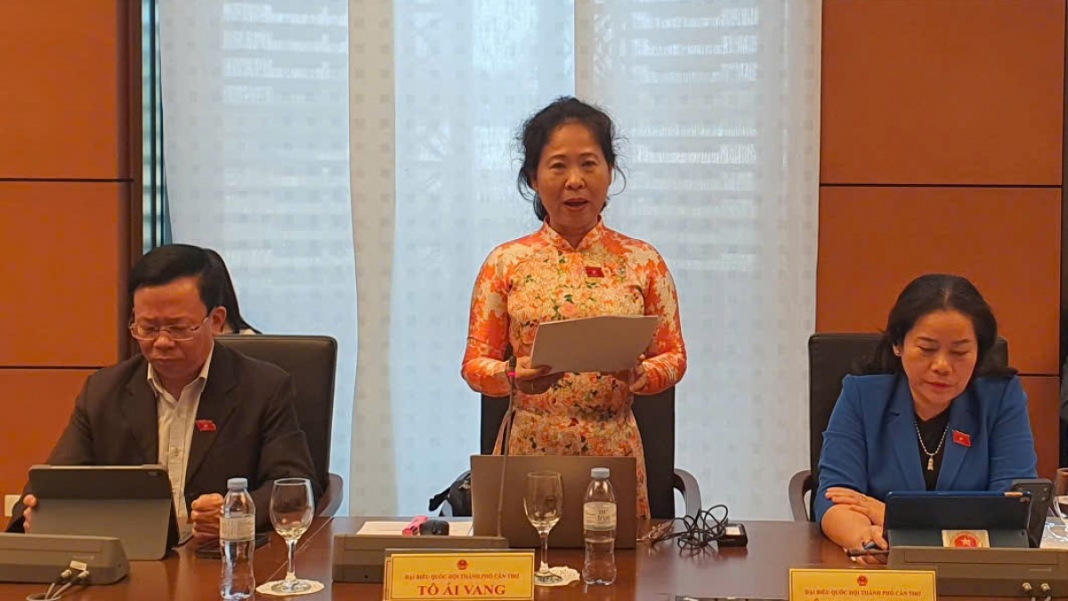 Đại biểu Tô Ái Vang, Đoàn ĐBQH thành phố Cần Thơ.