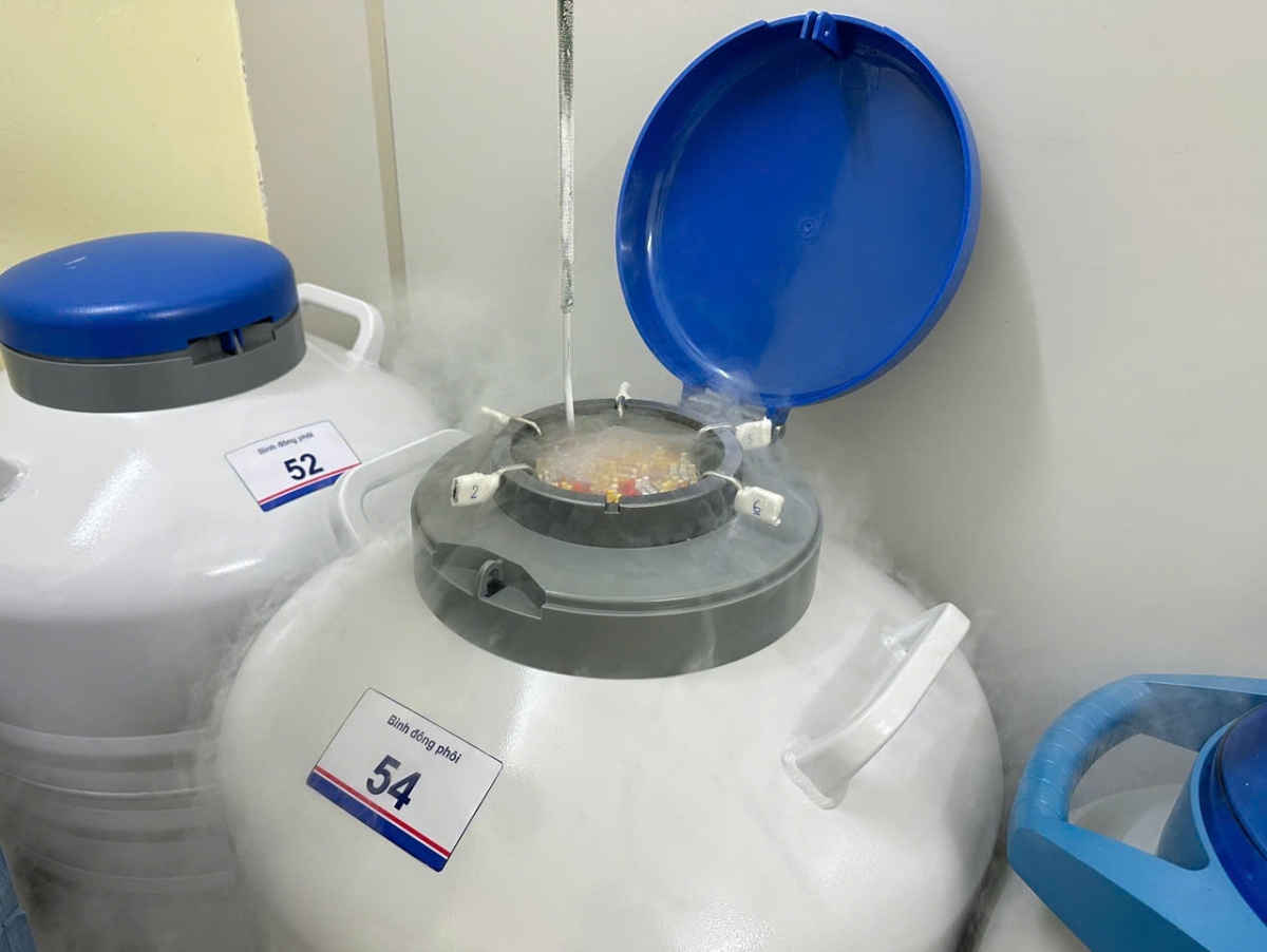 Sau khi được lấy ra, trứng sẽ được trữ đông trong bình ni tơ lỏng  (Ảnh: BSCC)