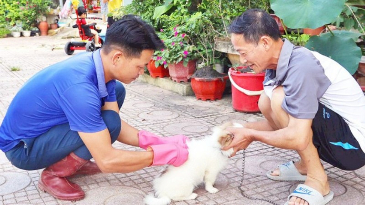 Người dân cần tuân thủ quy định tiêm phòng vaccine cho chó, mèo để phòng bệnh dại.(Ảnh: Internet)