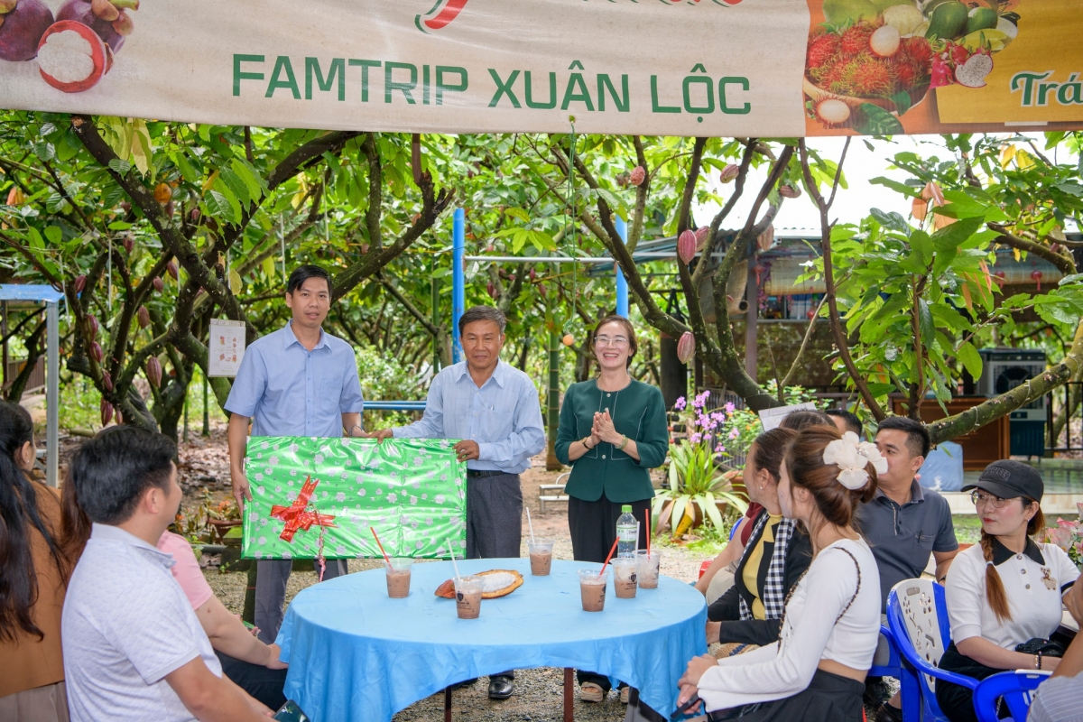 Vườn ca cao Xuân Lộc của Hợp tác xã Dịch vụ nông nghiệp ca cao Suối Cát, xã Xuân Lộc, tỉnh Đồng Nai trở thành điểm du lịch