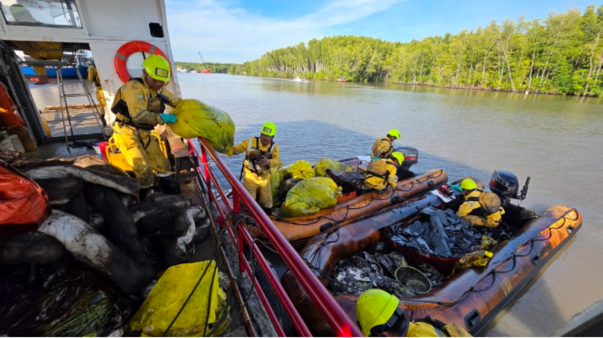 Các xuồng nhỏ thu gom dầu tràn tại Cần Giờ (Ảnh: Trung tâm SOS)
