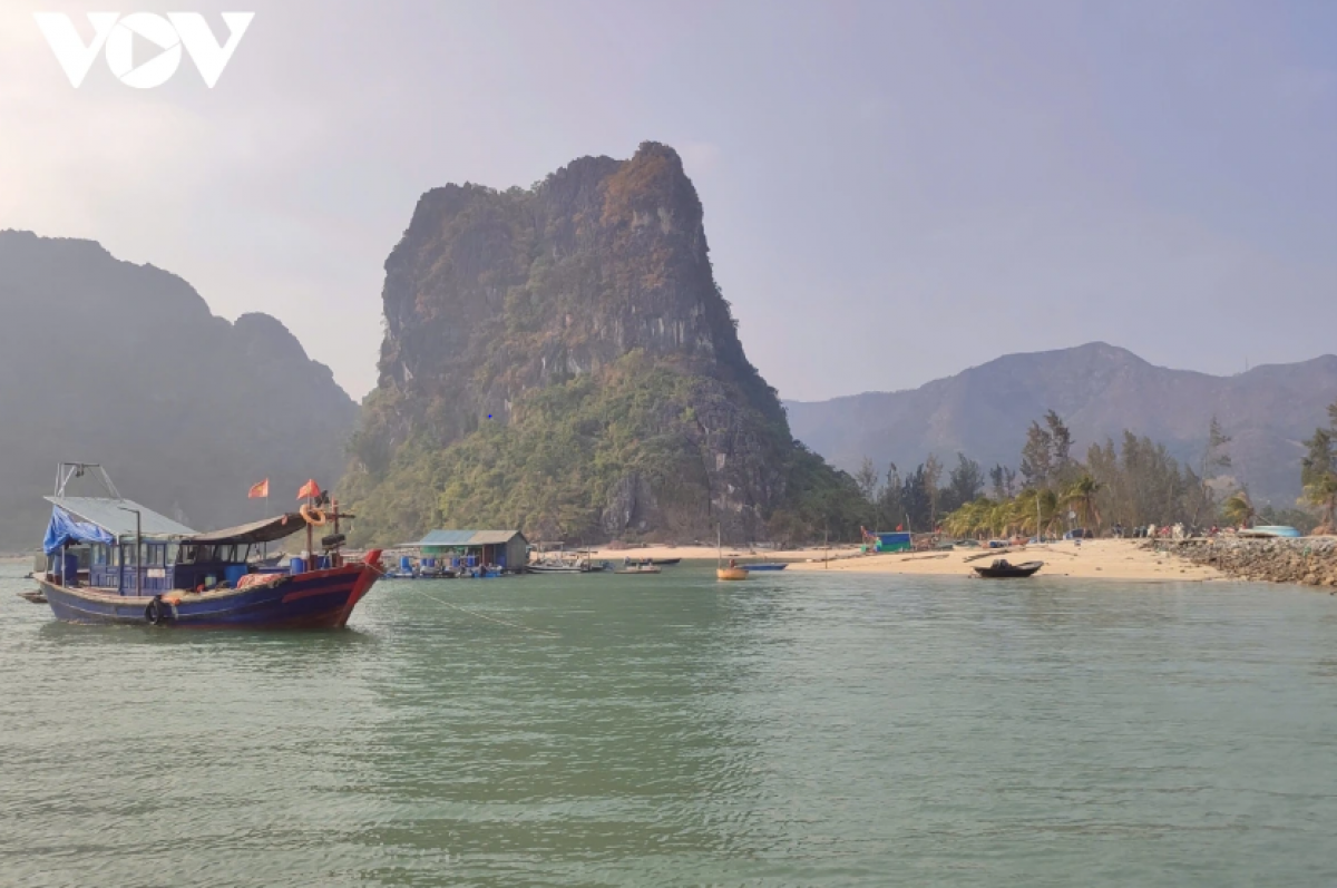 Các bến cá tạm được thiết lập để ngư dân thuận lợi trong quá trình khai báo nhật ký đánh bắt thủy sản (Ảnh: VOV)