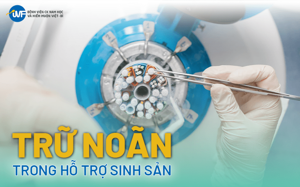 Dự trữ trứng, dự trữ tinh trùng được xem là giải pháp an toàn để bảo tồn khả năng sinh sản khi cơ thể còn ở giai đoạn khỏe mạnh nhất (Ảnh:BVCC)