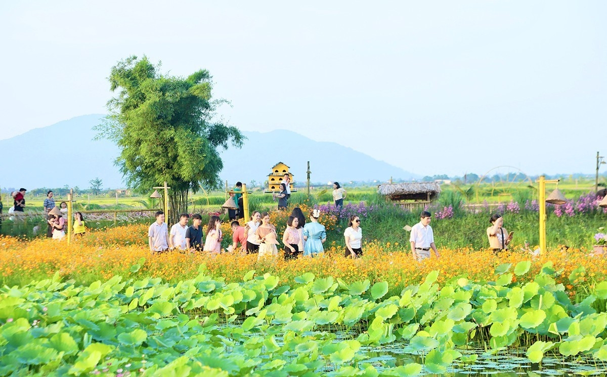 Khách tham quan rất thích thú với mô hình du lịch sinh thái của HTX Liên Nhật. (Ảnh nhân vật cung cấp)