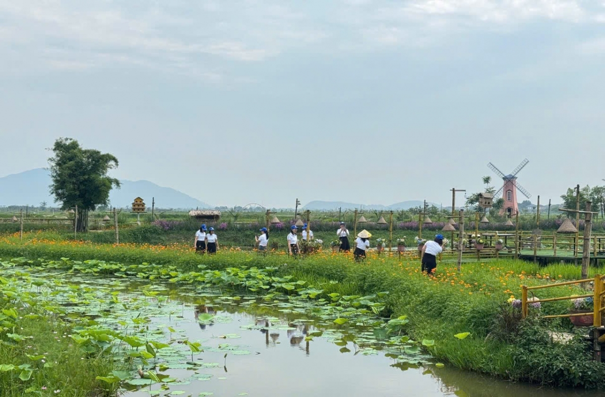 Một góc sinh thái của HTX Liên Nhật (Ảnh nhân vật cung cấp)