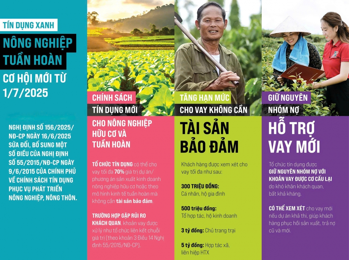 Những điểm mới của Nghị định 156/2025/NĐ-CP - Ảnh: thoibaonganhang.vn