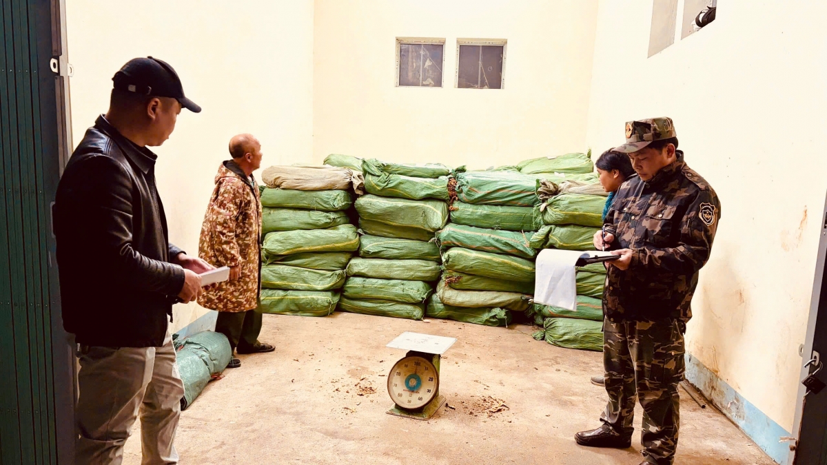 Thu giữ hơn 3 tấn lá thuốc lá được vận chuyển trái phép tại Cao Bằng - Ảnh: Cục Hải quan