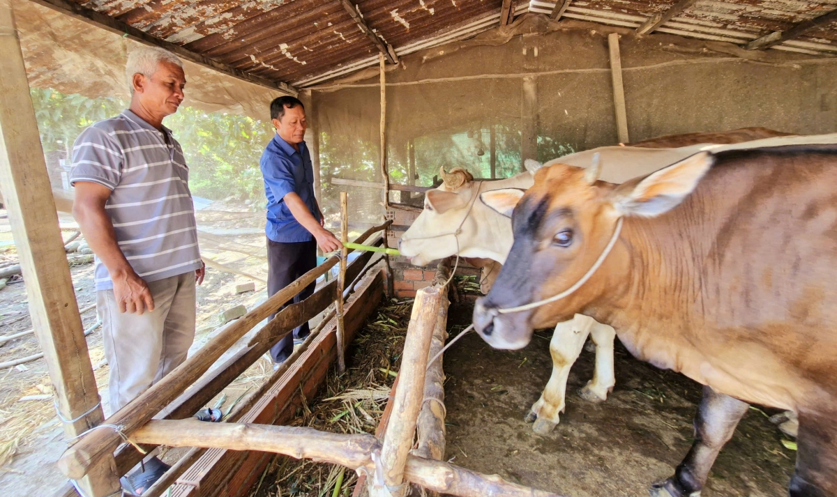 Ông Sư Tùng (áo xanh). Ảnh VOV ĐBSCL