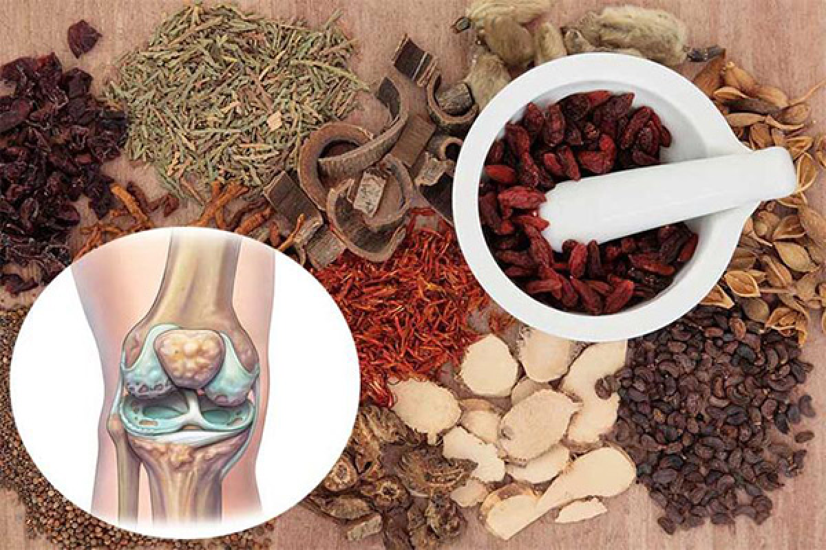 Chữa xương khớp bằng đông y giúp làm xoa dịu các cơn đau nhanh chóng. (Ảnh Internet)