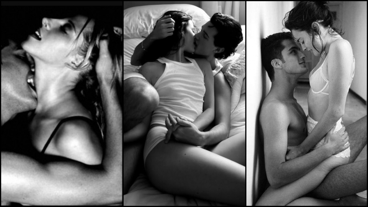 Bản năng đưa ta đến gần, hiểu biết giữ ta ở lại (Ảnh: Internet)