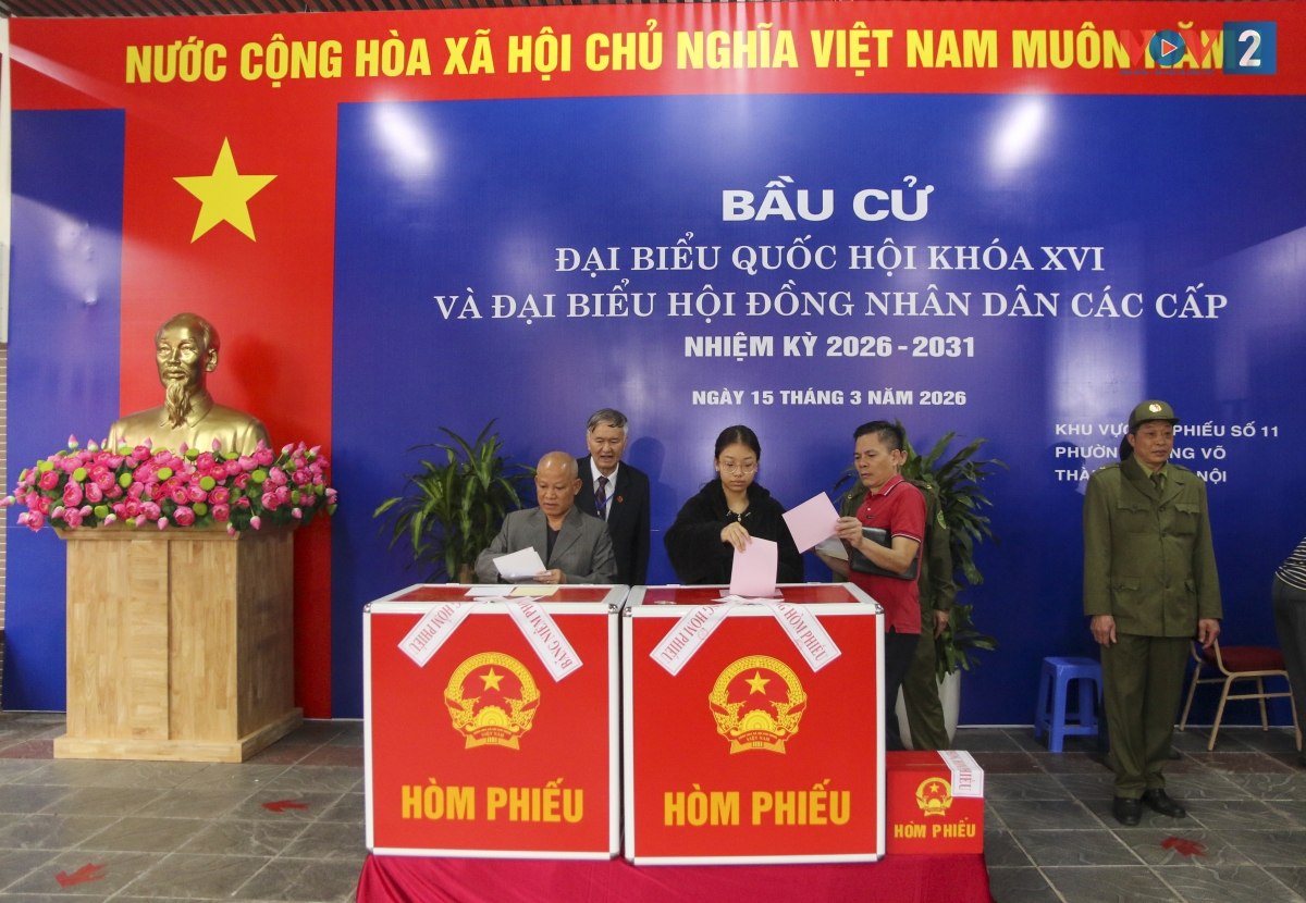 Các cử tri thực hiện bỏ phiếu