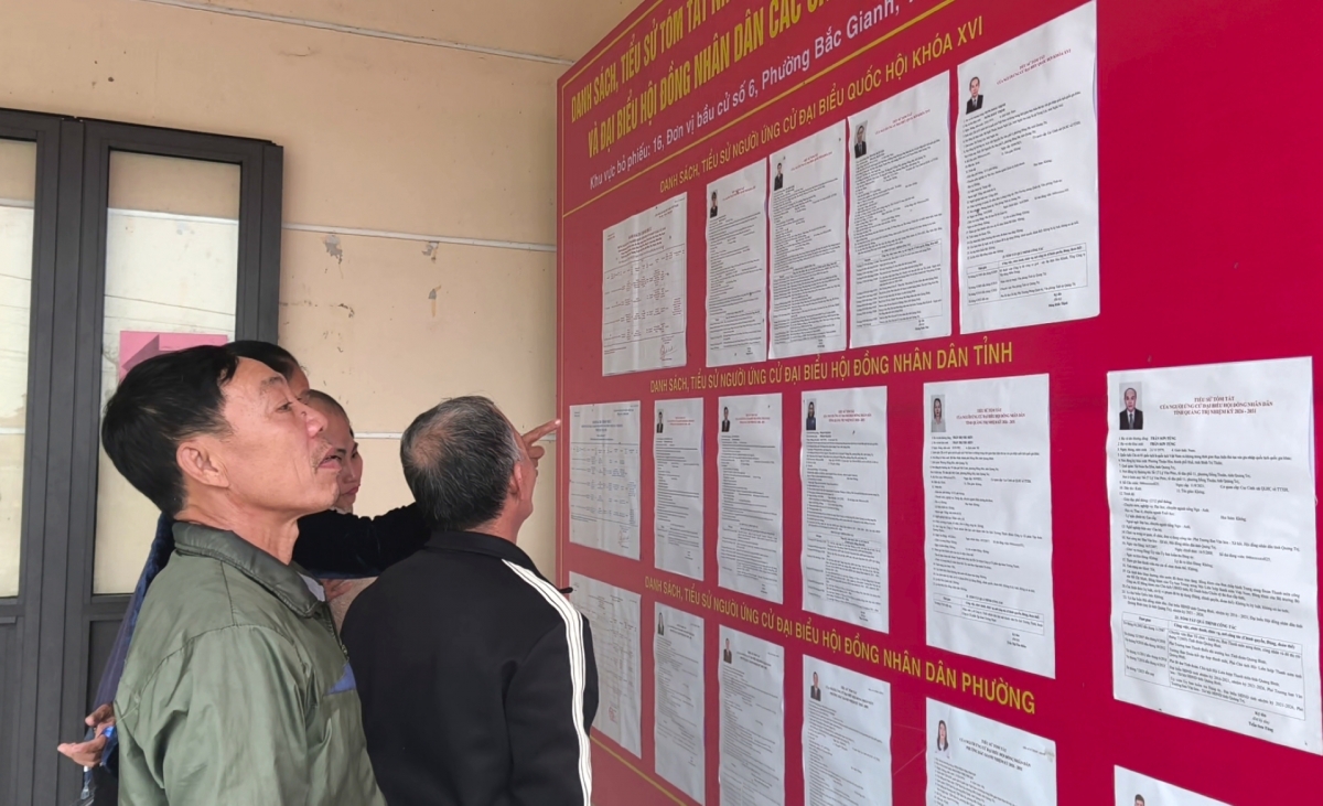 Cử tri tìm hiểu thông tin các ứng cử viên trước khi bỏ phiếu bầu cử
