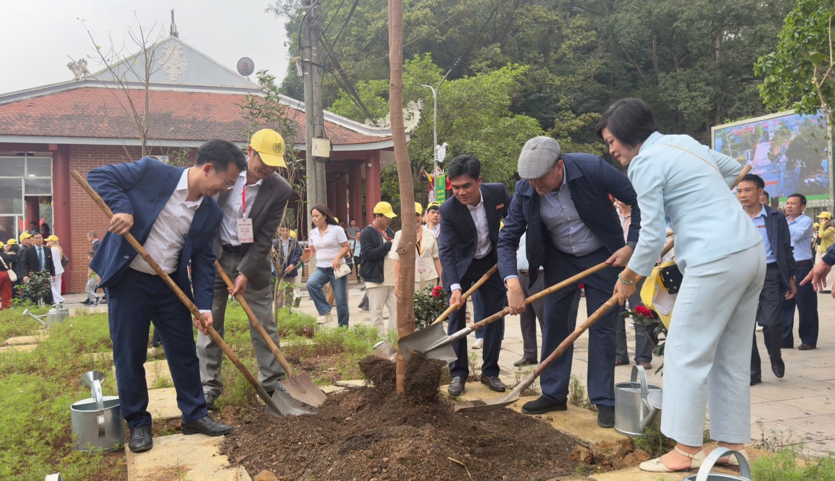 Các Đại sứ và đại biểu quốc tế trồng cây lưu niệm. Ảnh: BTC