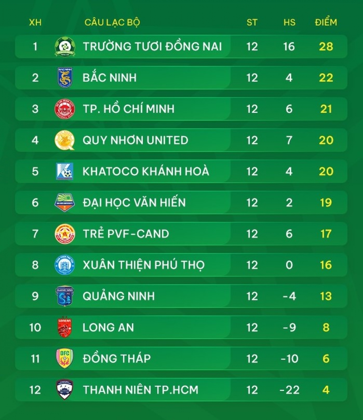 BXH sau vòng 12 (Ảnh: VPF)