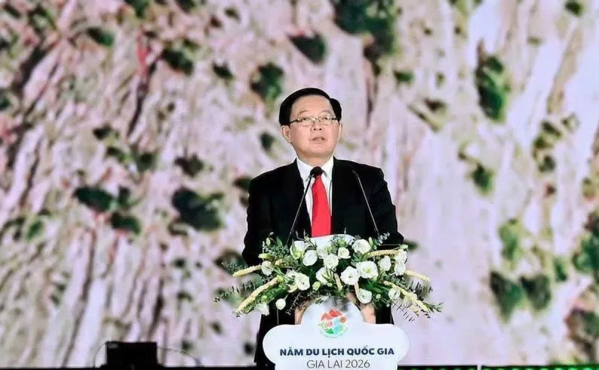 Phó Thủ tướng Chính phủ Hồ Quốc Dũng. Ảnh: BTC