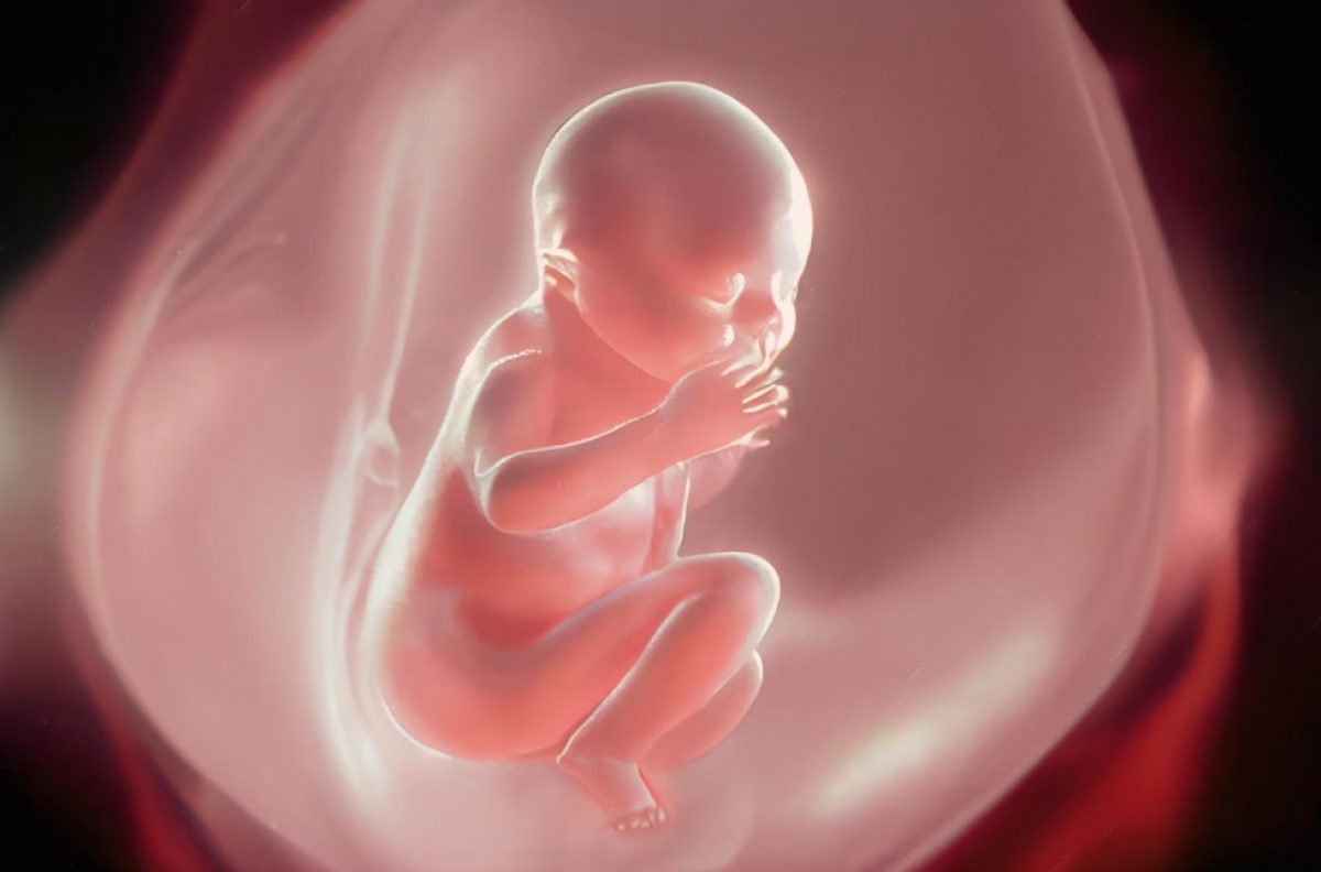 Thai chậm tăng trưởng là bệnh lý khá nguy hiểm đối với sức khỏe của thai nhi. Ảnh: Internet