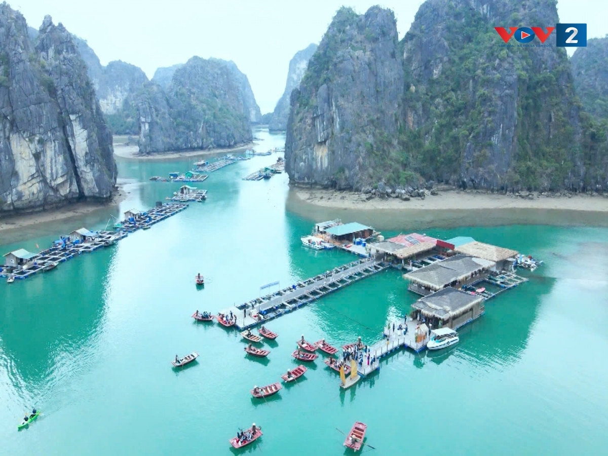 Làng chài Vung Viêng hình thành từ thế kỷ XIX, khi ngư dân ở xung quanh vùng biển này thường tới đây neo đậu thuyền bè để tránh bão, buôn bán, giao thương.