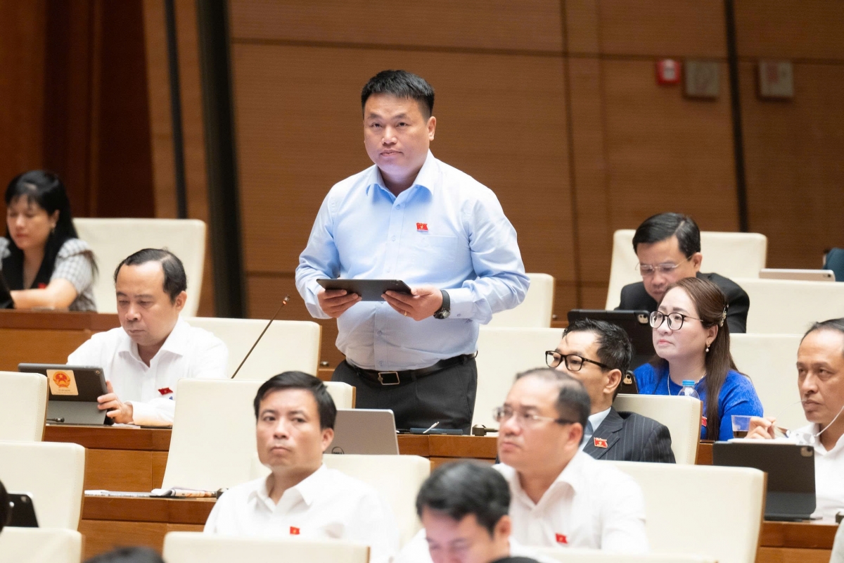 Đại biểu Đặng Ngọc Huy, Đoàn Đại biểu Quốc hội tỉnh Quảng Ngãi (Ảnh: Quochoi.vn)