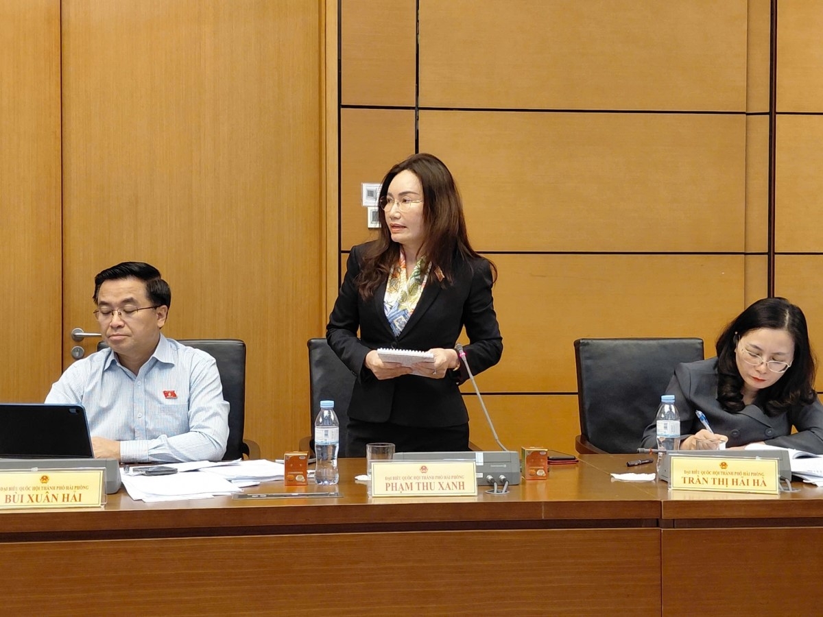 Đại biểu Phạm Thu Xanh phát biểu