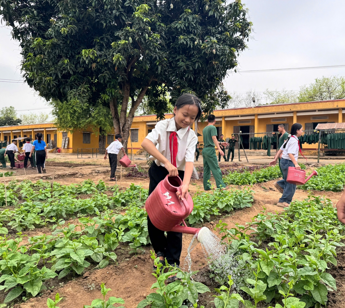 Học sinh tham gia chăm sóc vườn rau của đơn vị (Ảnh: CTV)