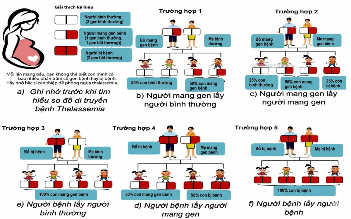 Sơ đồ di truyền bệnh Thalassemia. Nguồn: Viện Huyết học Truyền máu TƯ