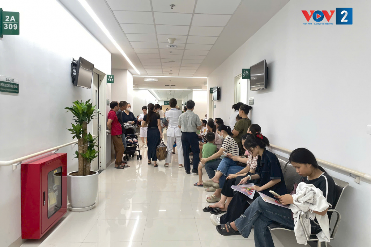 Trong sáng nay Bệnh viện đã tiếp nhận gần 1500 lượt khám cho người dân tỉnh Ninh Bình và khu vực lân cận