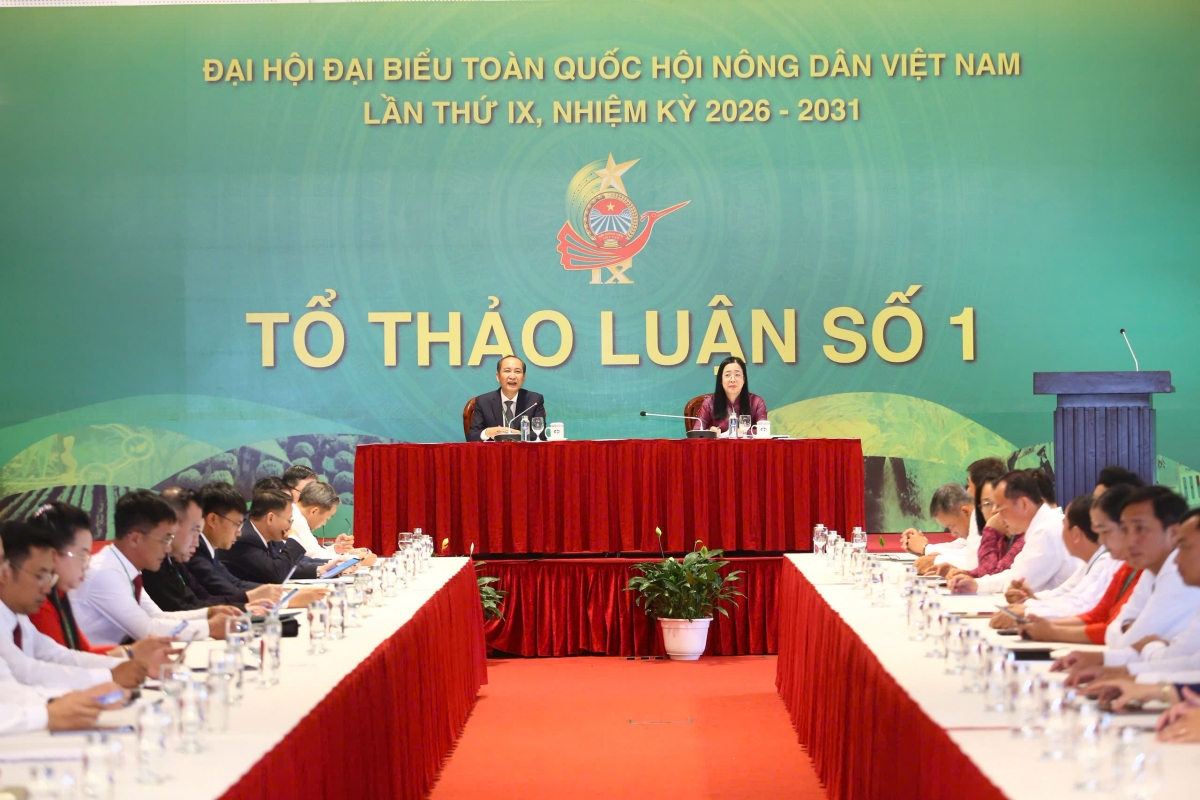 Các đại biểu tham gia thảo luận tại tổ số 1.