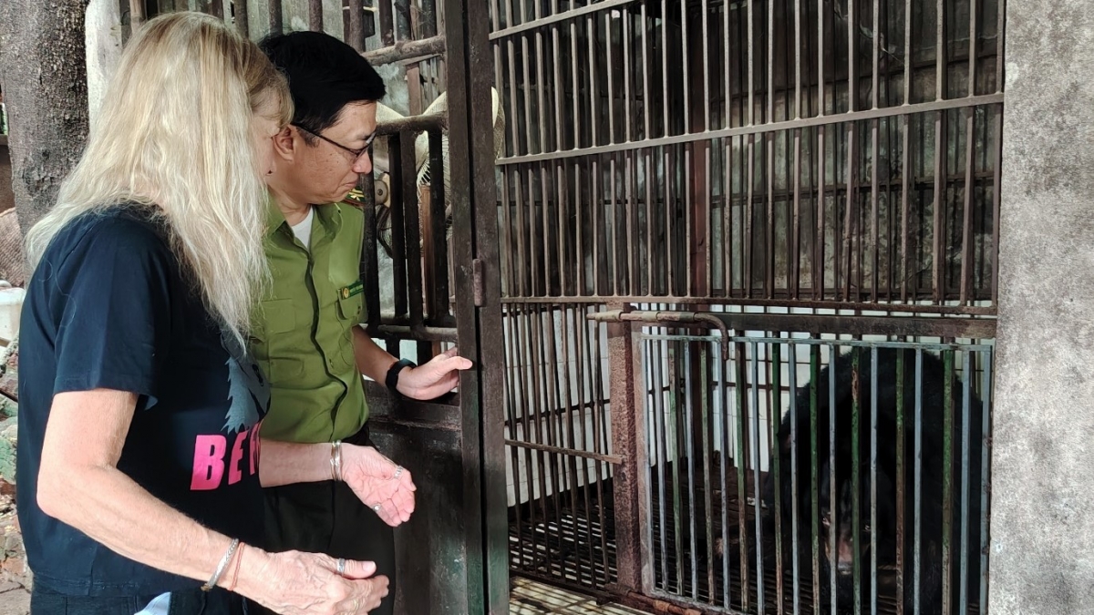 Cá thể gấu được phục hồi, chăm sóc tốt tại các Trung tâm cứu hộ (Ảnh: Chi cục Kiểm lâm tỉnh Thái Nguyên)