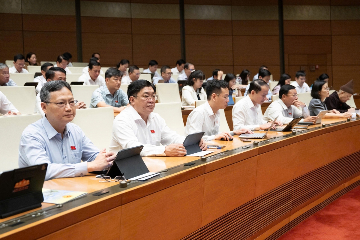 Đại biểu nghe về các dự thảo Luật tại hội trường ngày 5/8/2026. Ảnh: Quốc hội