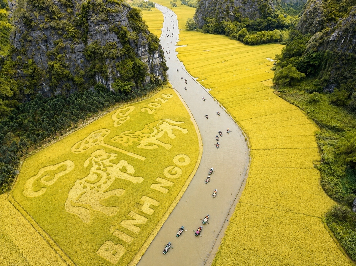 Cánh đồng lúa Tam Cốc. Ảnh: Sở Du lịch Ninh Bình