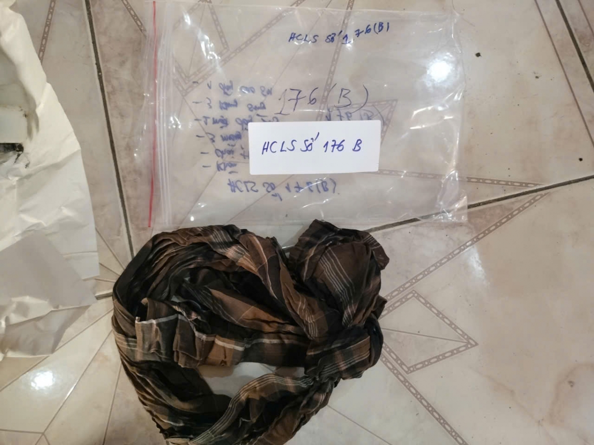 Ảnh: Bộ Tư lệnh TP.HCM cung cấp