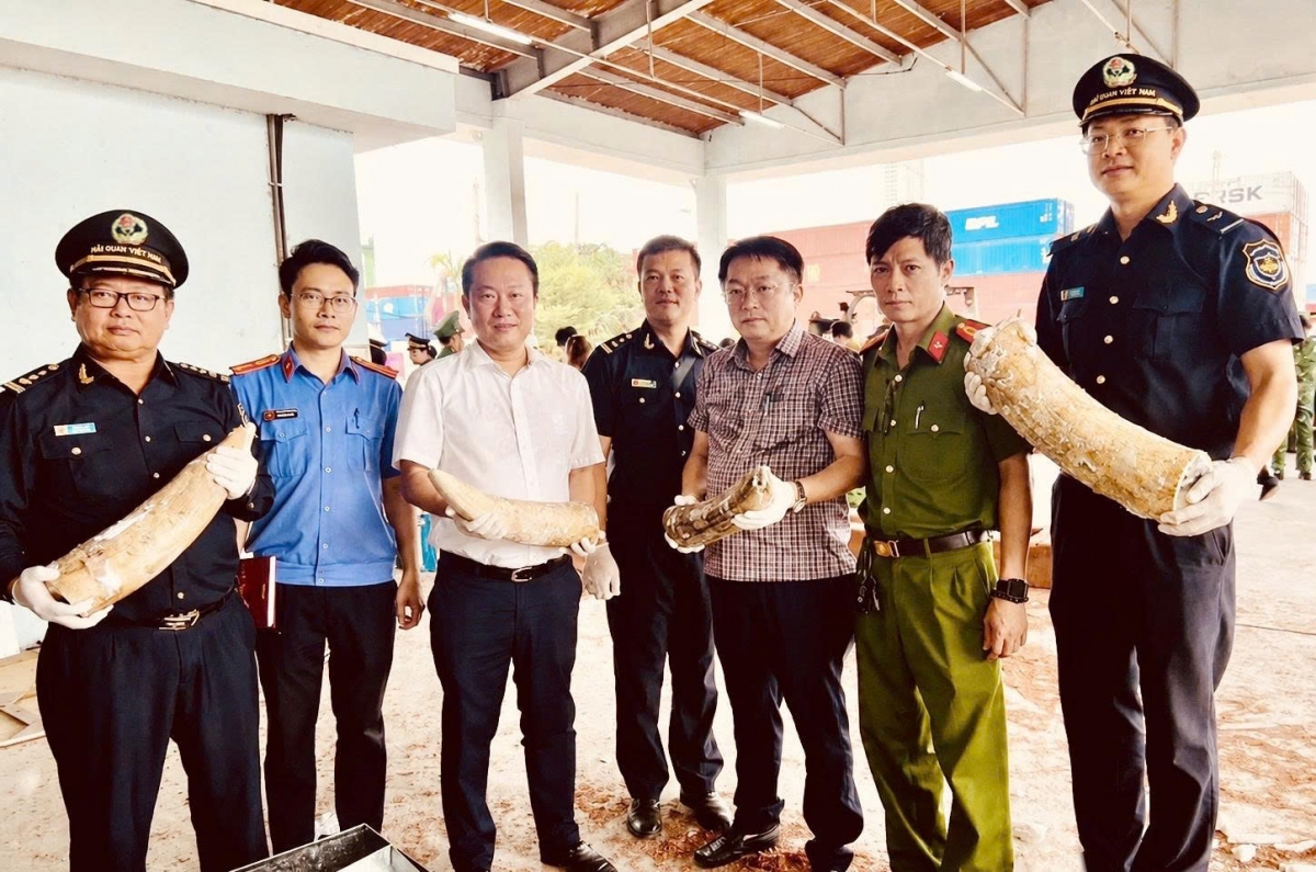 Lực lượng chức năng thu giữ tang vật - Ảnh: Cục Hải quan.