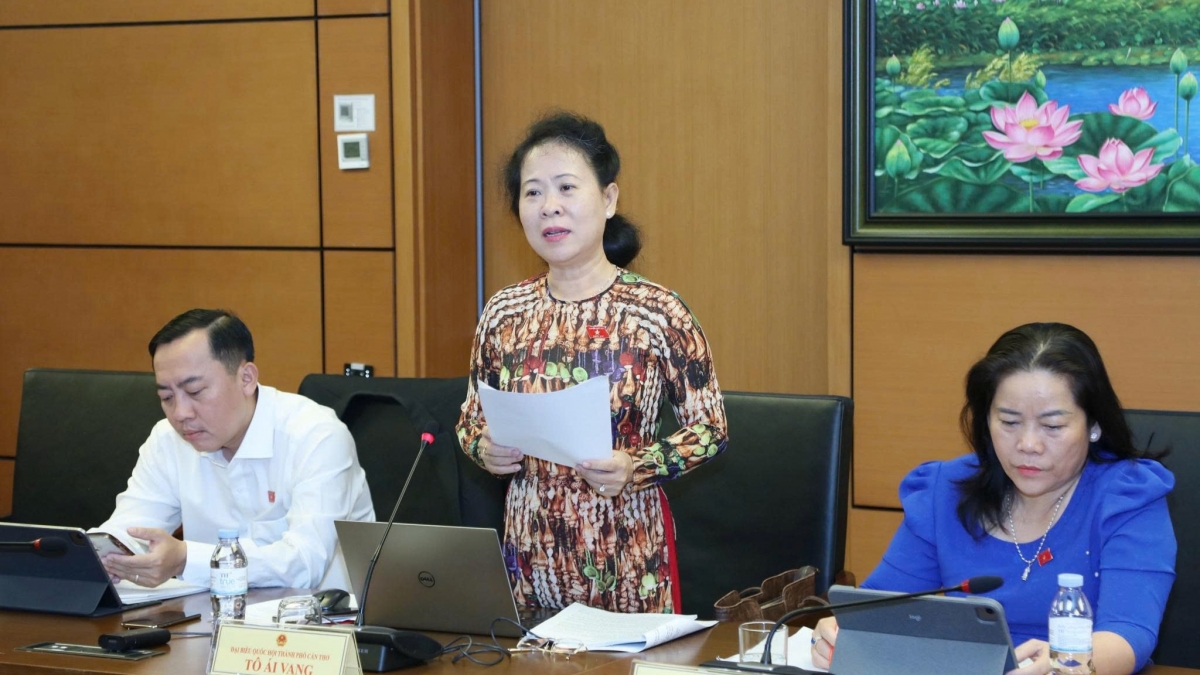 Đại biểu Tô Ái Vang (Cần Thơ) thảo luận về dự án Luật Đất đai tại tổ chiều 19/8. (Ảnh: Quốc hội)