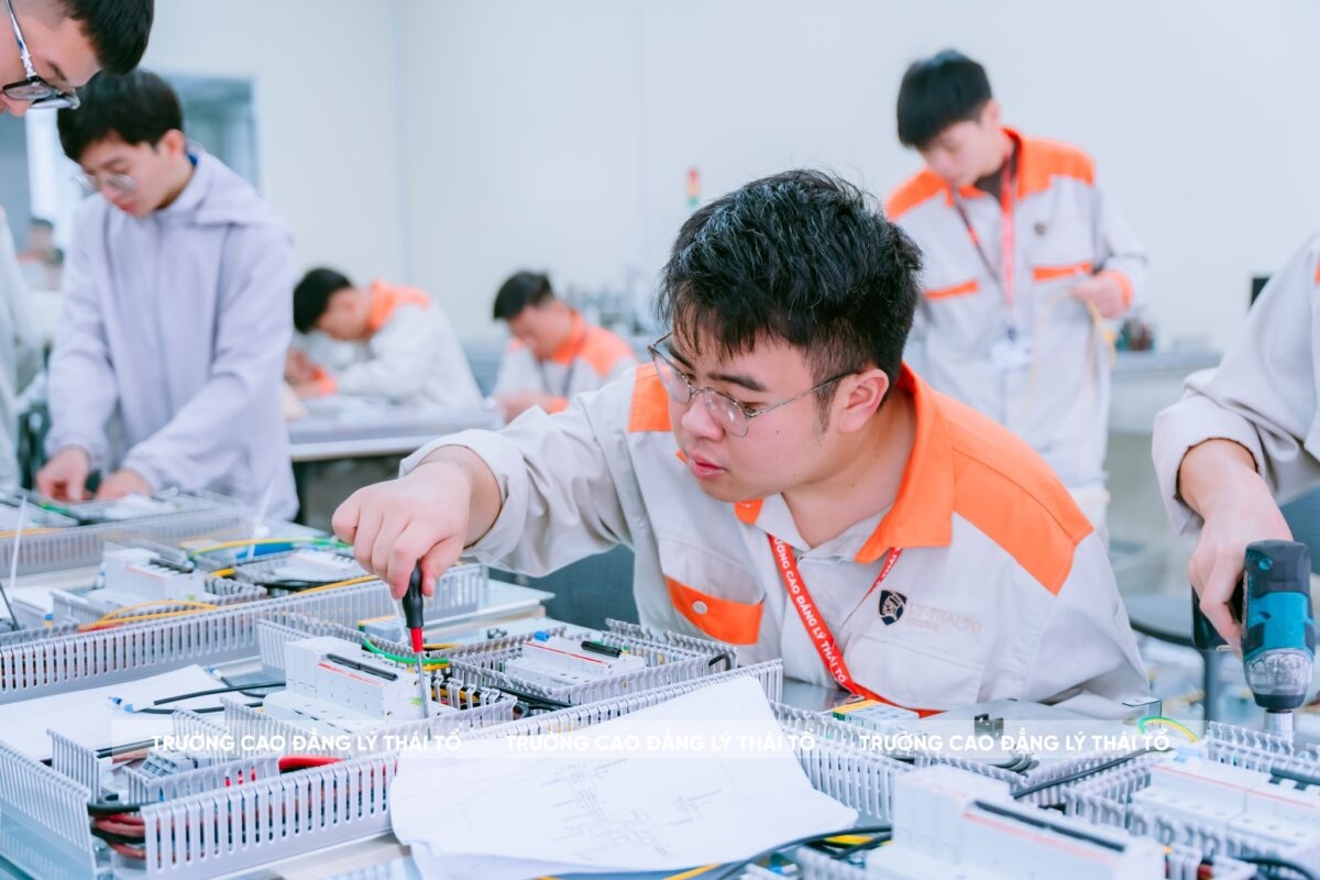 Ảnh minh họa, nguồn: CĐ Lý Thái Tổ