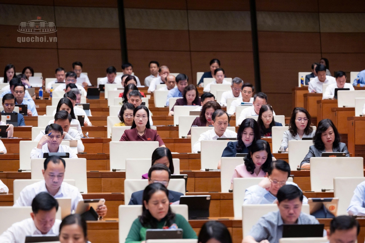 Các đại biểu dự Phiên họp - Ảnh: Media Quốc hội
