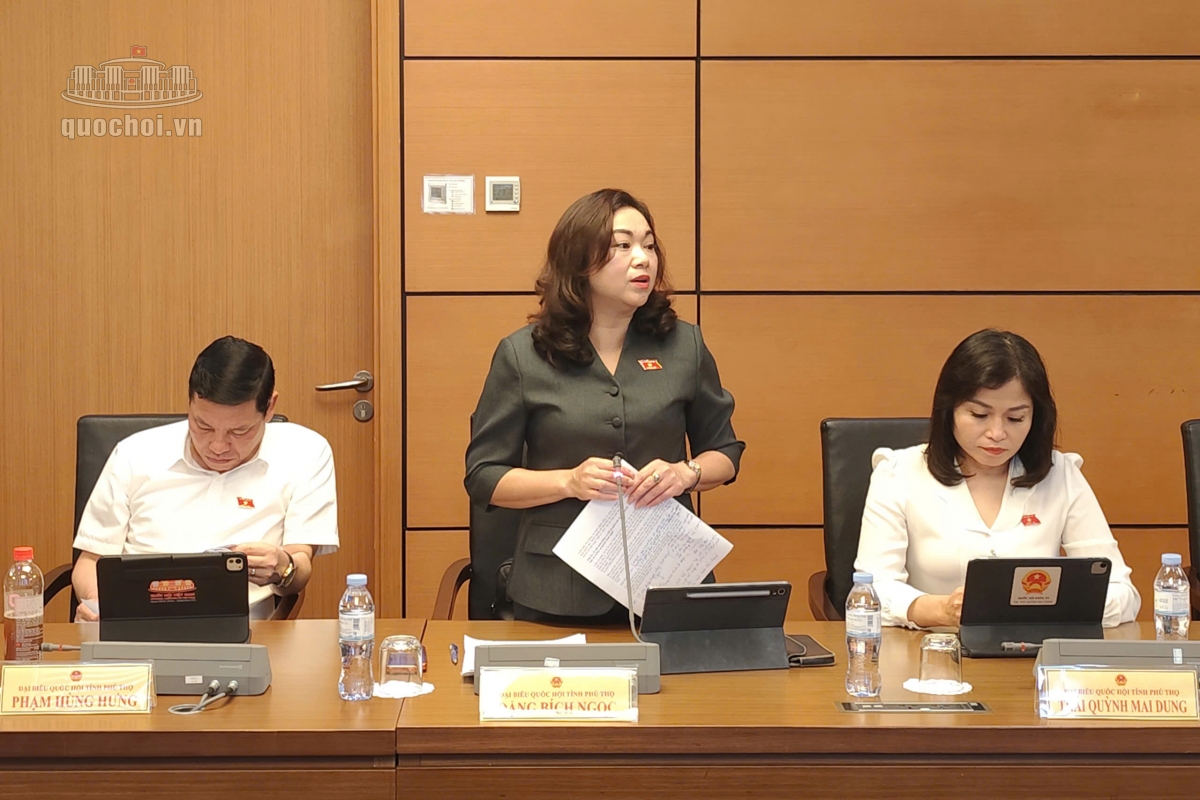 Đại biểu quốc hội Đặng Bích Ngọc, đoàn Phú Thọ (Ảnh: Quochoi.vn)