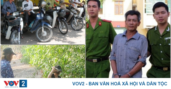 vov2.vov.vn
